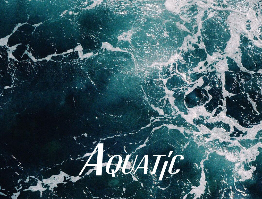 HTD-watches-aquatic-menu-img.jpg